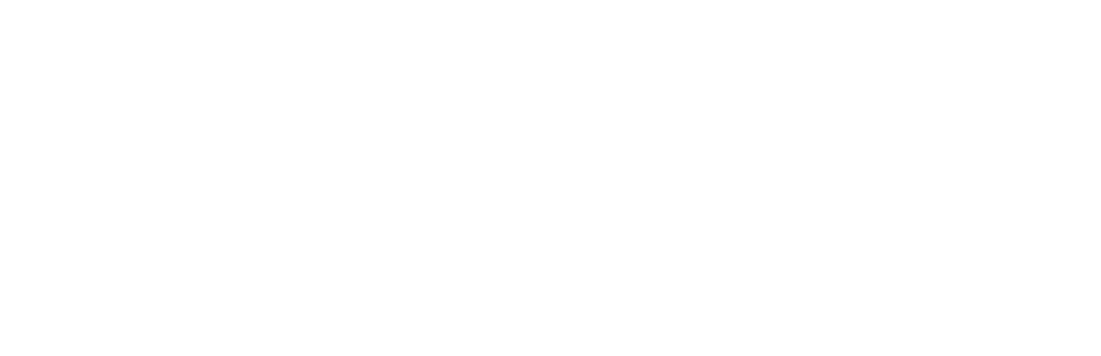 visa brand